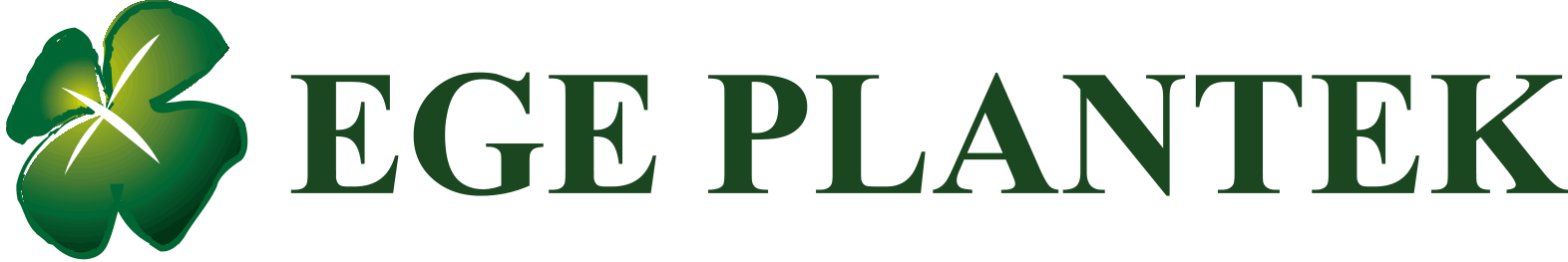 Reklam Ajansı İzmir